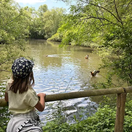 Maison Au Bord De L'eau Dans Le Marais Poitevin *