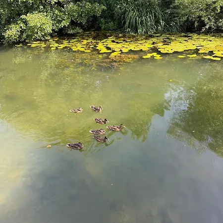 Hébergement de vacances Maison Au Bord De L'eau Dans Le Marais Poitevin Magne (Deux-Sevres)